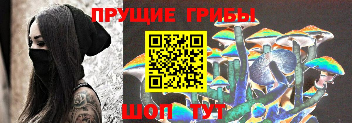 Галлюциногенные грибы Psilocybe  купить закладку  Кемерово  Вход с VPN 