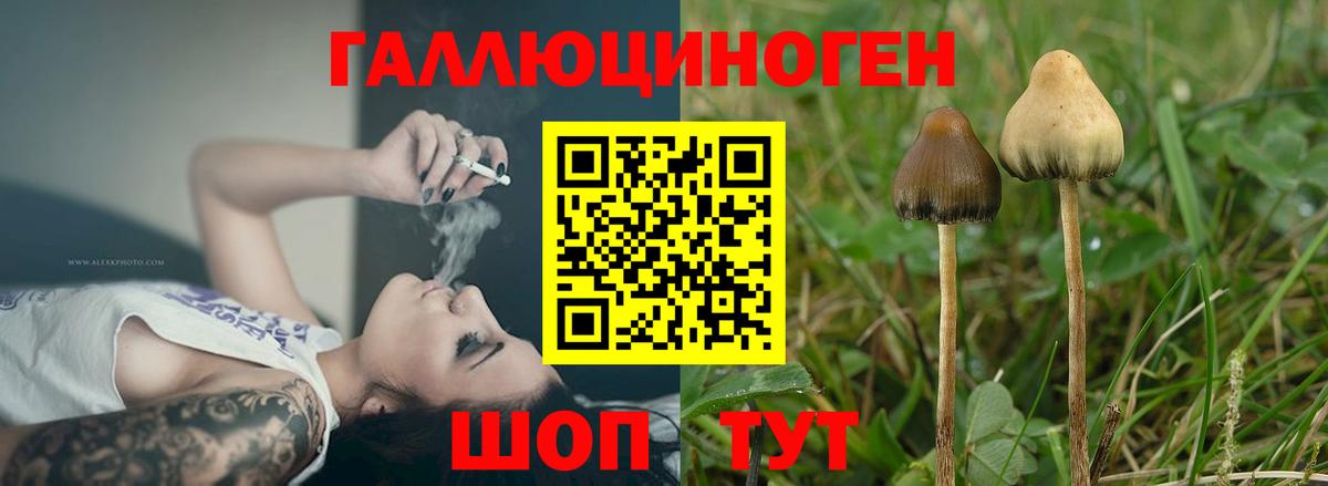 Галлюциногенные грибы Magic Shrooms Кемерово