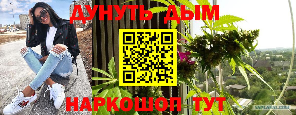 Бошки марихуана конопля  Вход с VPN  Шишки марихуана MAZAR  Кемерово  Каннабис White Widow 